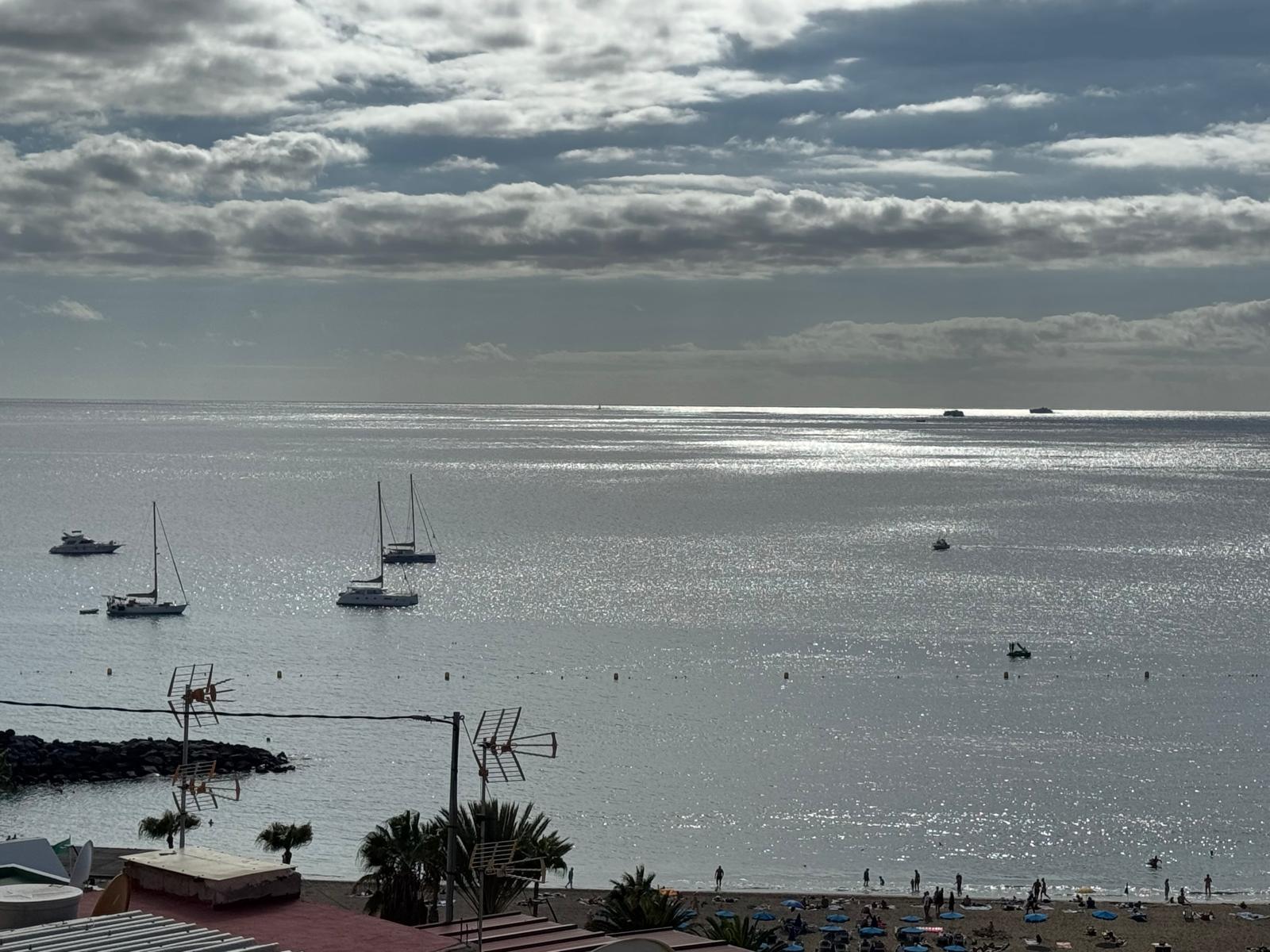 Arona